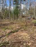 LOT 12 STANLEY ROAD | Kawartha Lakes Ontario | Slide Image Six