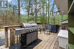 45 ISLAND 2ML ISLAND | Gravenhurst Ontario | Slide Image Thirty-three