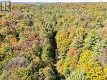 1435 FALKENBURG ROAD | Bracebridge Ontario | Slide Image Forty-five