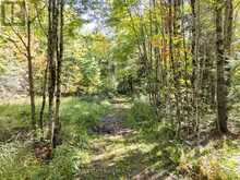 1435 FALKENBURG ROAD | Bracebridge Ontario | Slide Image Forty-seven