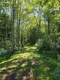 1435 FALKENBURG ROAD | Bracebridge Ontario | Slide Image Forty-nine