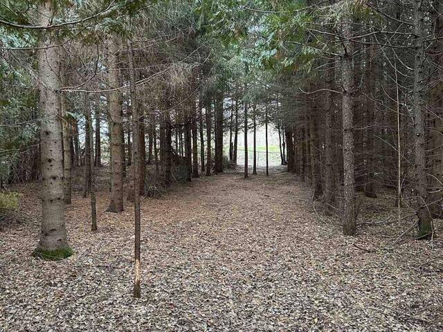 PT LT 3 CON 7 Amaranth Ontario, L9W 0M4 - Vacant Land For Sale