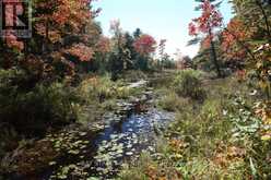 0 COUNTY ROAD 41 ROAD S | Addington Highlands Ontario | Slide Image Two