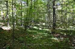 0 COUNTY ROAD 41 ROAD S | Addington Highlands Ontario | Slide Image Three