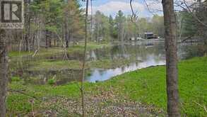 0 VILLAGE 1 ROAD | Utterson Ontario | Slide Image Fourteen