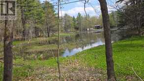 0 VILLAGE 1 ROAD | Utterson Ontario | Slide Image Fifteen