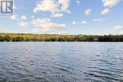 1216 LAKE LORRAINE (TORY LAKE) LANE | Highlands East Ontario | Slide Image Thirty-eight