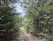 1170 PETER ROAD | Bracebridge Ontario | Slide Image Sixteen