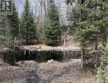 1170 PETER ROAD | Bracebridge Ontario | Slide Image Six