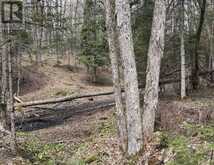 1170 PETER ROAD | Bracebridge Ontario | Slide Image Ten