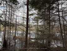 1170 PETER ROAD | Bracebridge Ontario | Slide Image Eighteen
