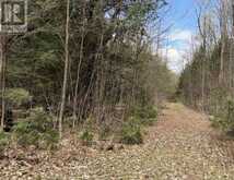 1170 PETER ROAD | Bracebridge Ontario | Slide Image Eight