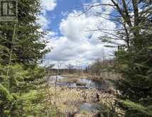 1170 PETER ROAD | Bracebridge Ontario | Slide Image Fifteen