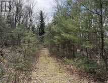 1170 PETER ROAD | Bracebridge Ontario | Slide Image Nine