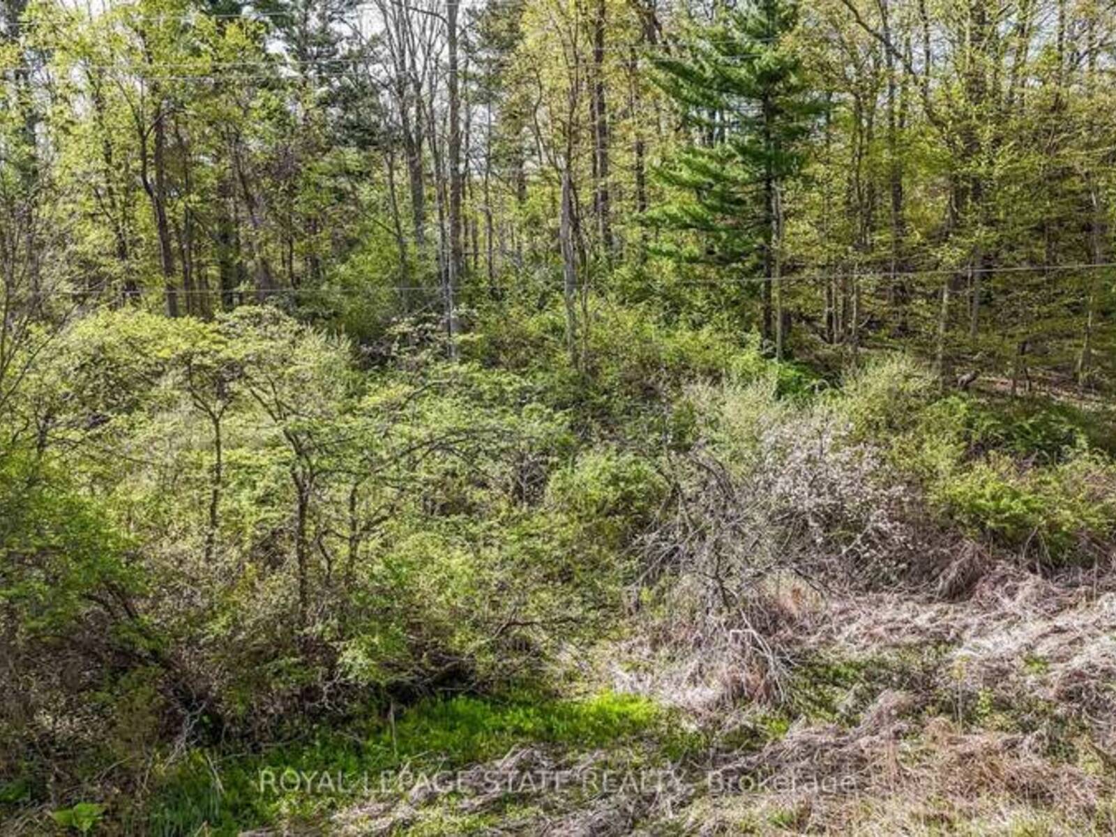 0 MINERAL SPRINGS ROAD, Ancaster, Ontario L9G 4X1
