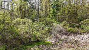 0 MINERAL SPRINGS ROAD | Ancaster Ontario | Slide Image One