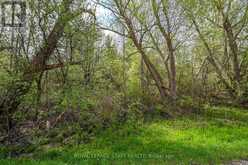 0 MINERAL SPRINGS ROAD | Ancaster Ontario | Slide Image Seven