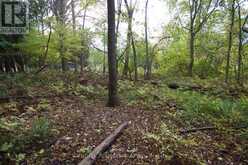 11 KNOX ROAD E | Wasaga Beach Ontario | Slide Image Nine
