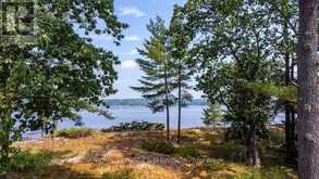 4446 IS 107 STONEY LAKE ISLAND | North Kawartha Ontario | Slide Image Twenty-three