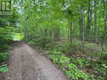 1043 LAWRENCE PIT ROAD | Utterson Ontario | Slide Image One