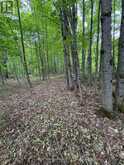 1043 LAWRENCE PIT ROAD | Utterson Ontario | Slide Image Two