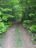 1043 LAWRENCE PIT ROAD | Utterson Ontario | Slide Image Four