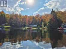1146 FARMER HAYS DRIVE | Lake of Bays Ontario | Slide Image Thirty