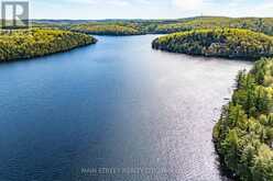 1146 FARMER HAYS DRIVE | Lake of Bays Ontario | Slide Image Thirty-seven