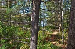 216 SMOOTH ROCK ROAD | Port Severn Ontario | Slide Image Nineteen