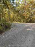 216 SMOOTH ROCK ROAD | Port Severn Ontario | Slide Image Three