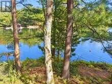 216 SMOOTH ROCK ROAD | Port Severn Ontario | Slide Image Thirty-seven