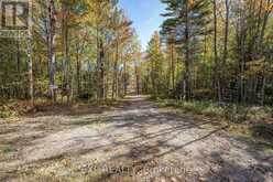 3124 SOUTHWOOD ROAD | Gravenhurst Ontario | Slide Image Thirteen