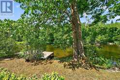 92 SHADOW LAKE RD 28 ROAD | Coboconk Ontario | Slide Image Thirty-two