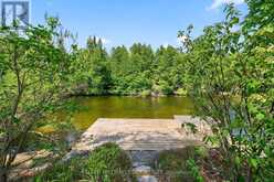 92 SHADOW LAKE RD 28 ROAD | Coboconk Ontario | Slide Image Thirty-six
