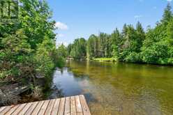 92 SHADOW LAKE RD 28 ROAD | Coboconk Ontario | Slide Image Four