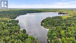 92 SHADOW LAKE RD 28 ROAD | Coboconk Ontario | Slide Image Forty-six