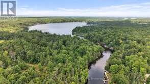 92 SHADOW LAKE RD 28 ROAD | Coboconk Ontario | Slide Image Forty-five