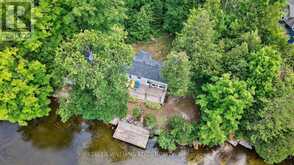92 SHADOW LAKE RD 28 ROAD | Coboconk Ontario | Slide Image Forty-seven