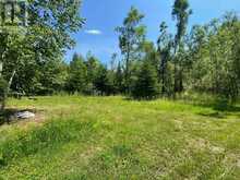 LT12&13 OTTER ROAD | Coboconk Ontario | Slide Image Ten