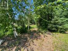 LT12&13 OTTER ROAD | Coboconk Ontario | Slide Image Eleven