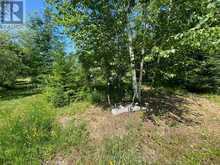 LT12&13 OTTER ROAD | Coboconk Ontario | Slide Image Four