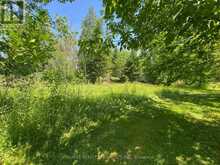 LT12&13 OTTER ROAD | Coboconk Ontario | Slide Image Nine