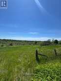 13595 HIGHWAY 2 | Alnwick-Haldimand Ontario | Slide Image Three