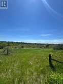 13595 HIGHWAY 2 | Alnwick-Haldimand Ontario | Slide Image Five