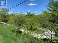 6677 CONCESSION 2 ROAD | Cedar Valley Ontario | Slide Image Seven