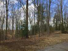 6677 CONCESSION 2 ROAD | Cedar Valley Ontario | Slide Image Thirty-three