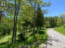 6677 CONCESSION 2 ROAD | Cedar Valley Ontario | Slide Image Five