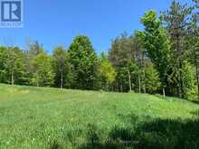 6677 CONCESSION 2 ROAD | Cedar Valley Ontario | Slide Image Forty-one