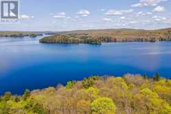 3 - 4209 MUSKOKA ROAD 117 | Baysville Ontario | Slide Image Forty-eight