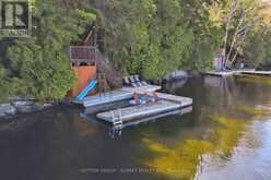 3 - 4209 MUSKOKA ROAD 117 | Baysville Ontario | Slide Image Forty-five